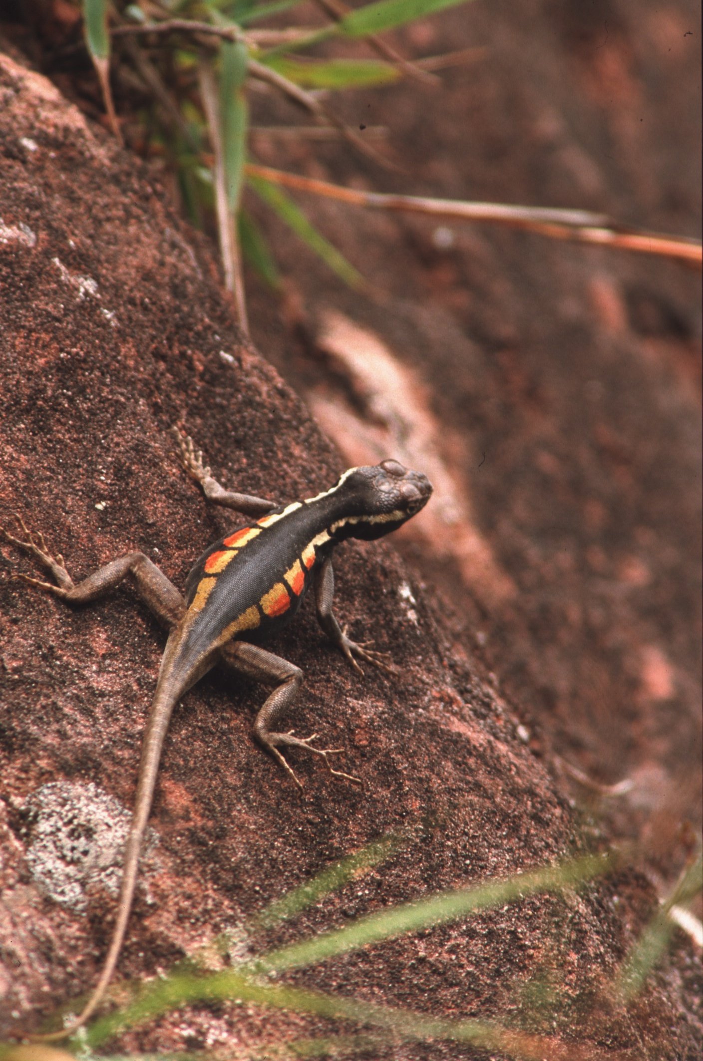 Bilder Andi Refugio 067.jpg