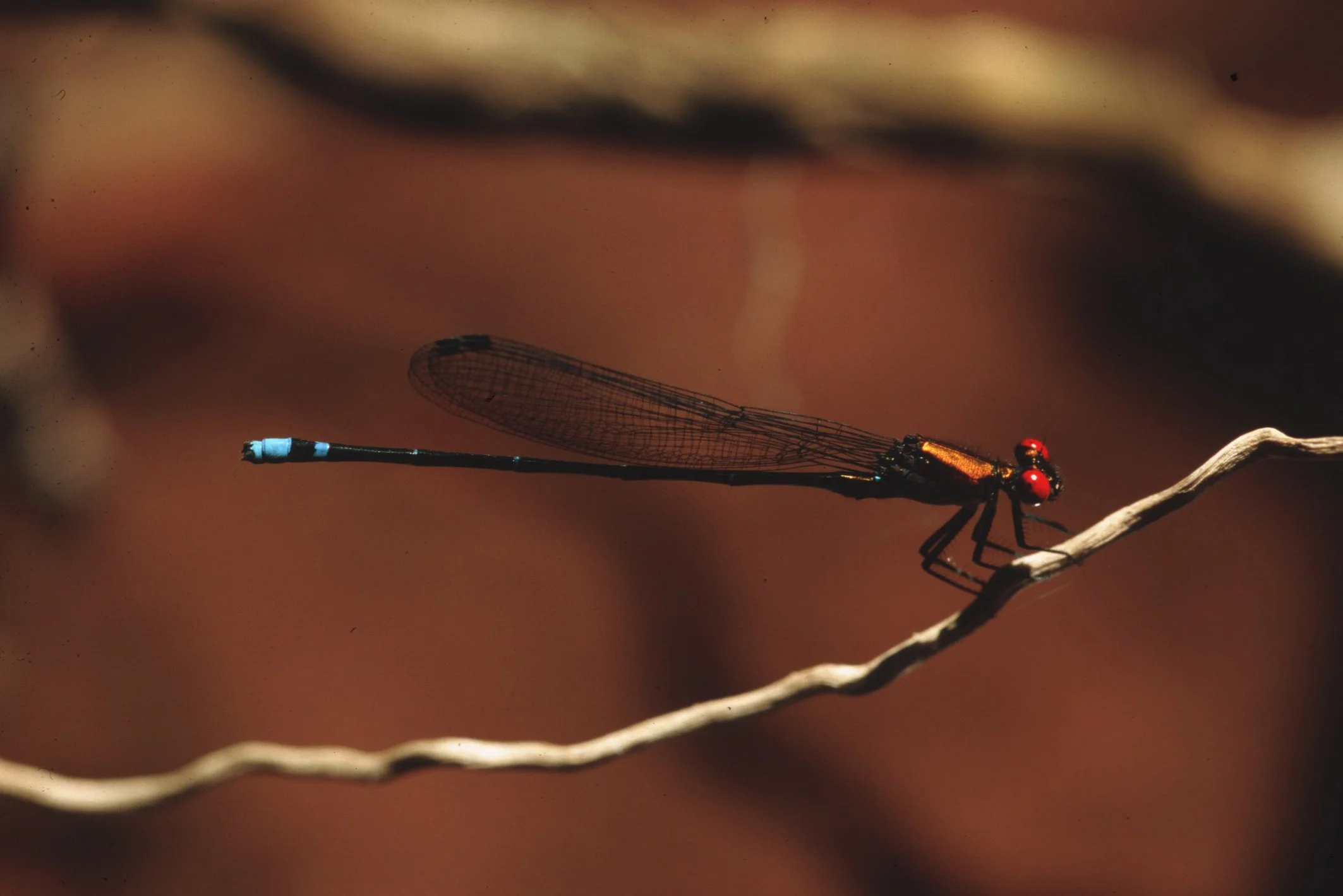 Bilder Andi Refugio 030.jpg