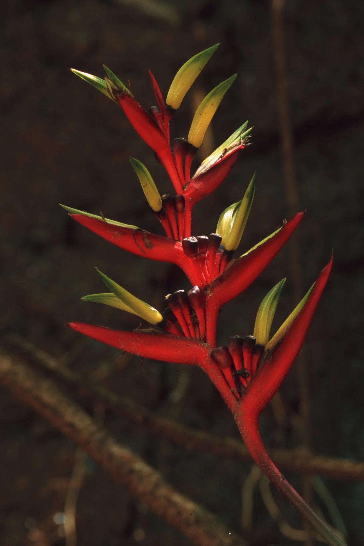 Bilder Andi Refugio 075.jpg