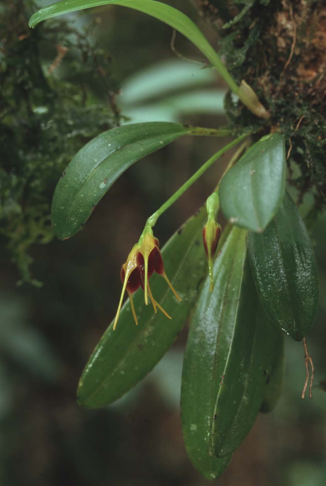 Bilder Andi Refugio 163.jpg