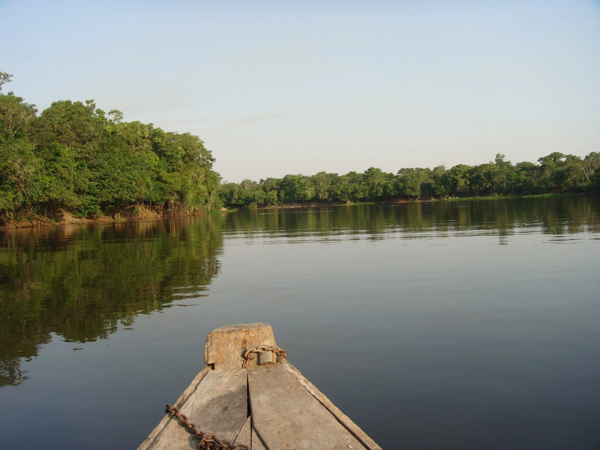 Ein Boot auf einem ruhigen Fluss, umgeben von üppigem grünem Dschungel unter einem klaren Himmel.