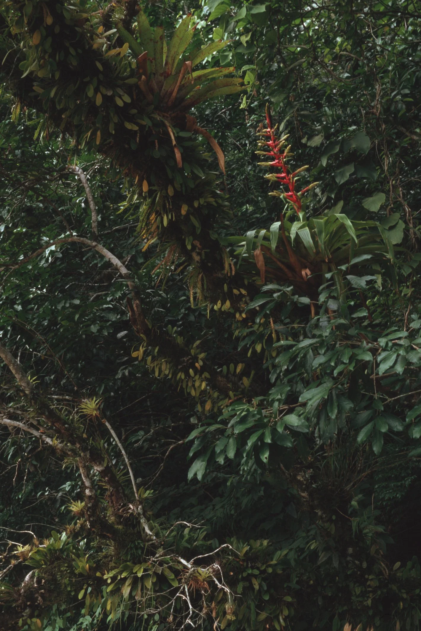 Bilder Andi Refugio 077.jpg