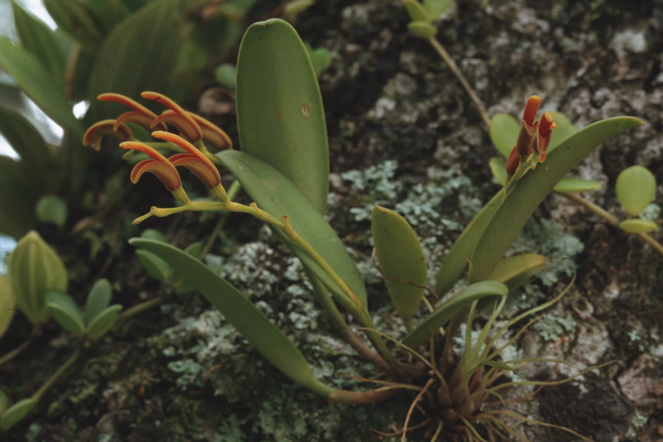 Bilder Andi Refugio 061.jpg