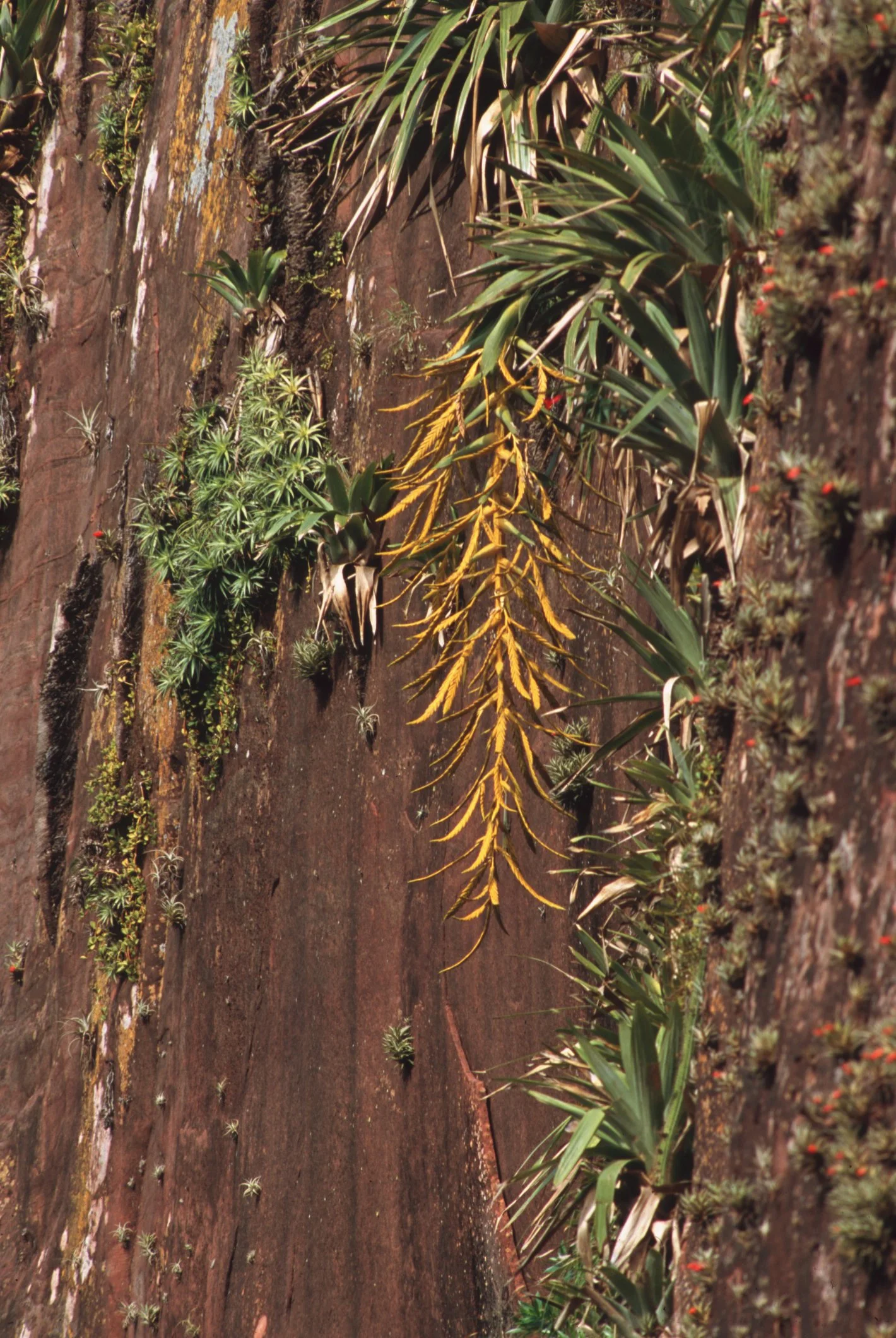 Bilder Andi Refugio 051.jpg