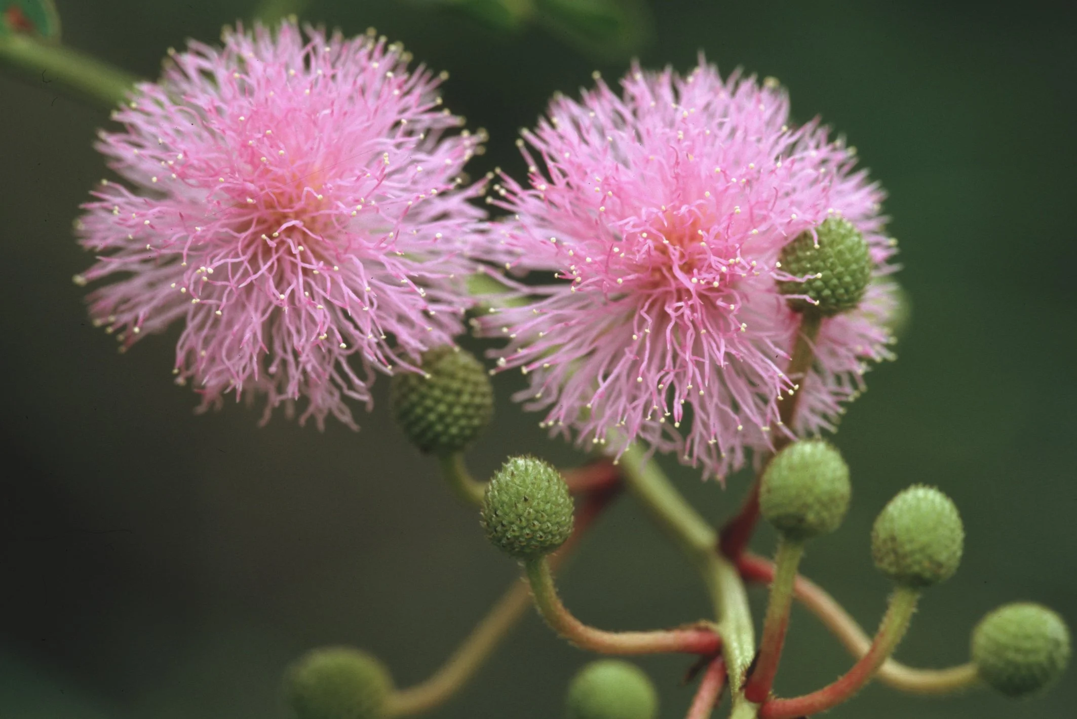 Bilder Andi Refugio 076.jpg