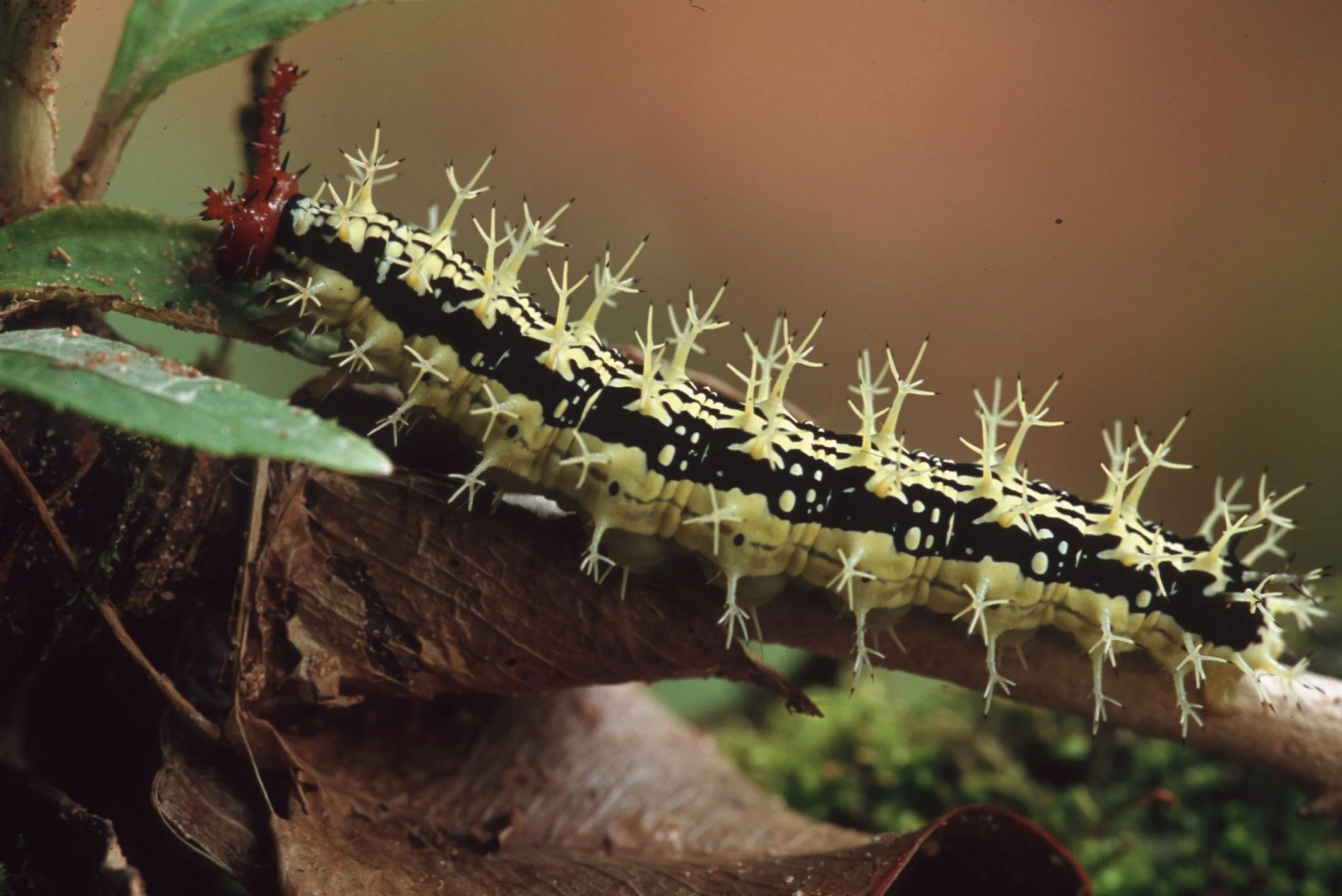 Bilder Andi Refugio 025.jpg