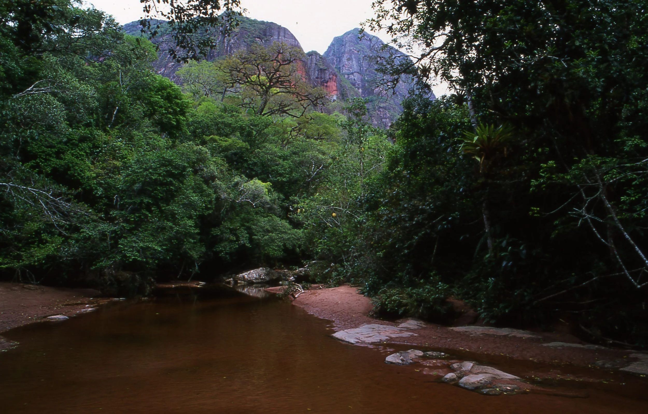 Ein Fluss umgeben von dichtem, grünem Dschungel mit Bergen im Hintergrund