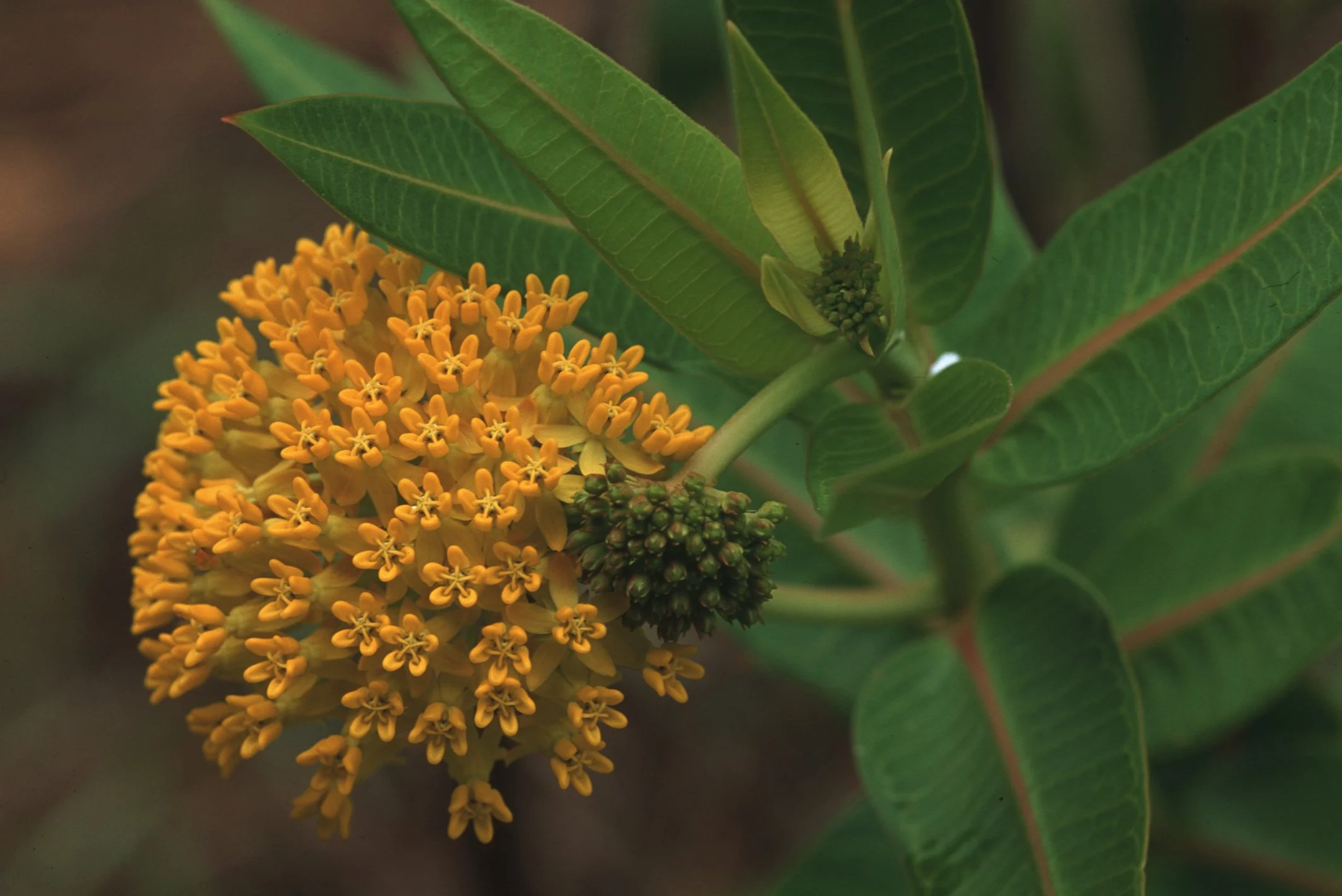 Bilder Andi Refugio 055.jpg