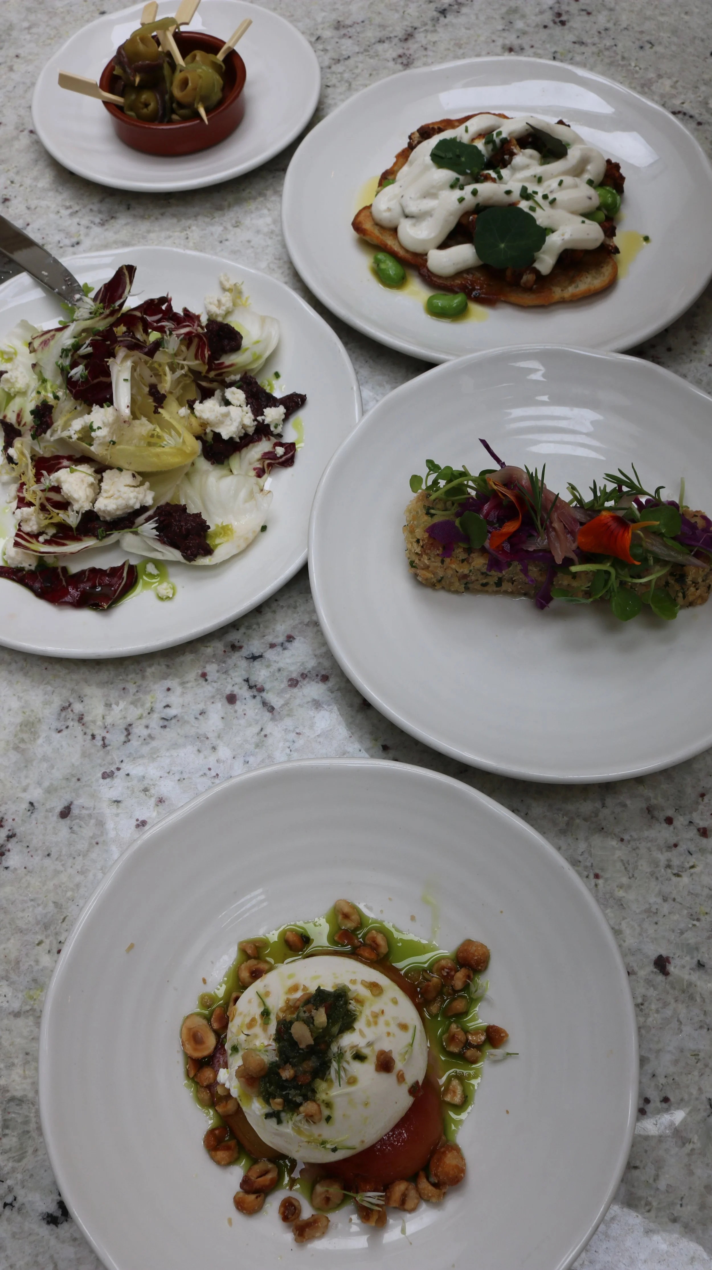 Various plated dishes including salads, appetizers, and main courses with garnishes and sauces on a speckled countertop.
