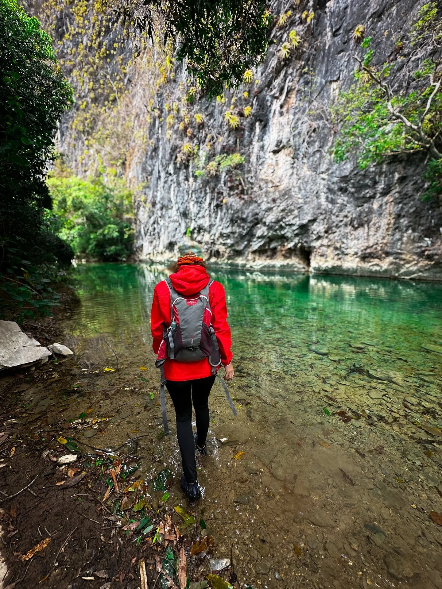 Um labirinto de &aacute;guas verde-esmeralda no cora&ccedil;&atilde;o da Serra da Bodoquena. Fechando Bonito com chave de ouro ! Foi lindo!