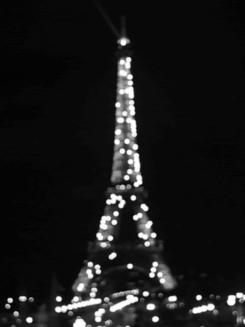 95978-Sparkling-Lights-On-The-Eiffel-Tower.gif