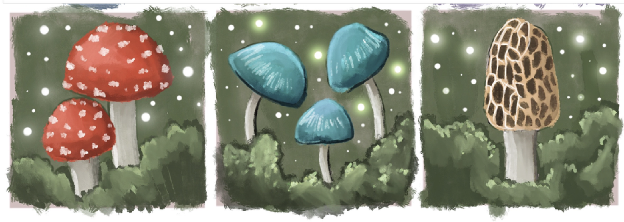 mushrooms.png
