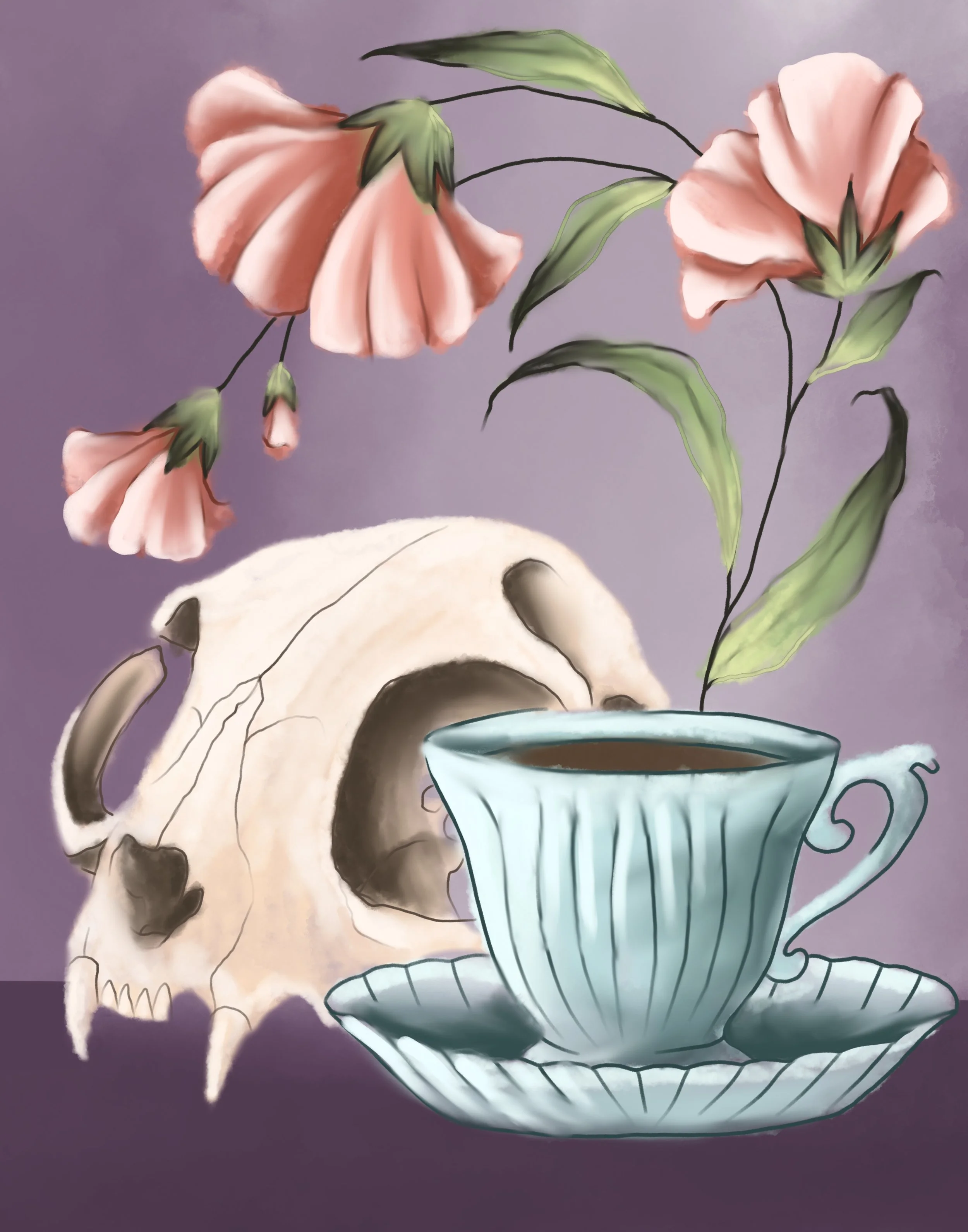 Cat Skull.jpeg