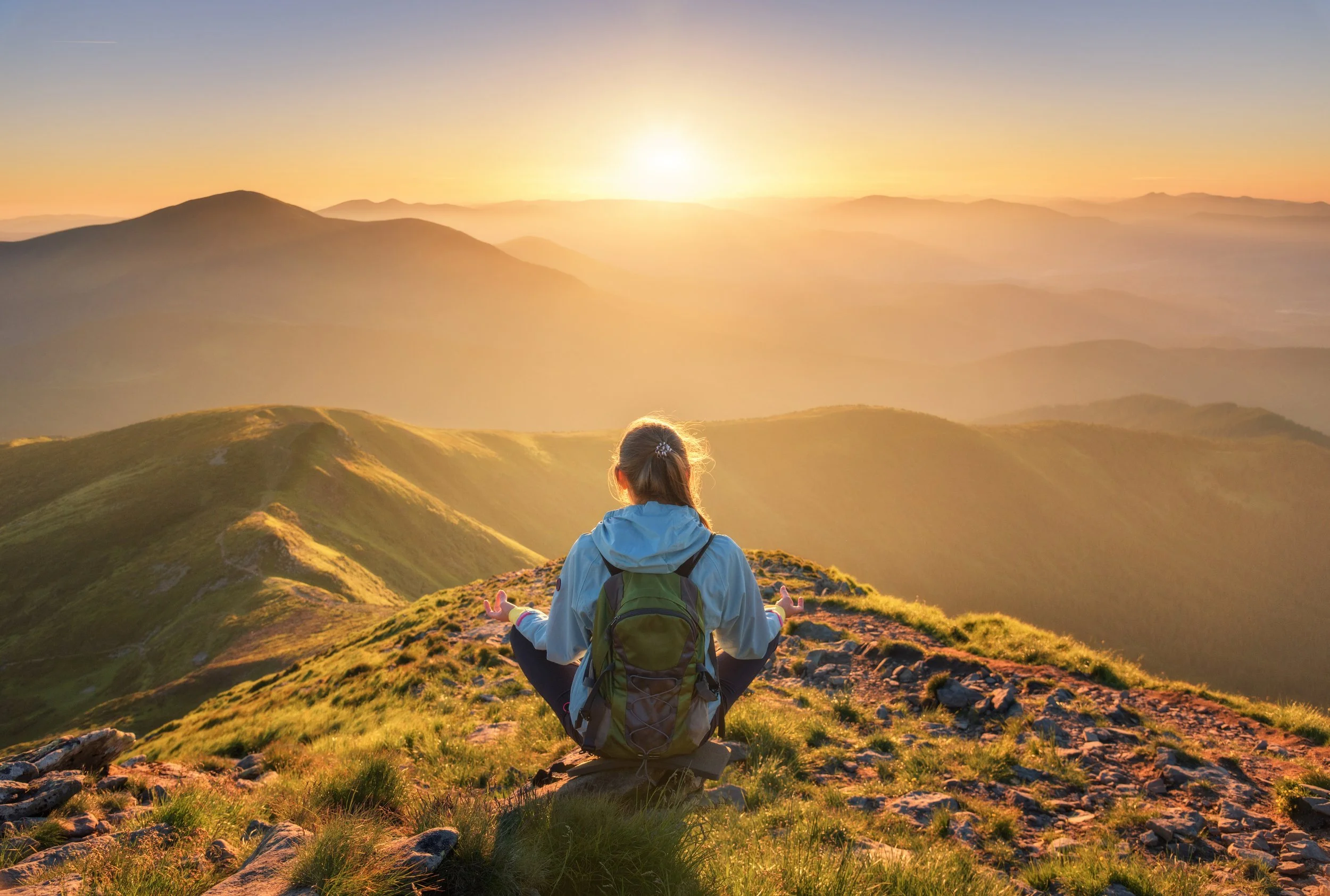 What Does It Mean to Rewild the Self?
