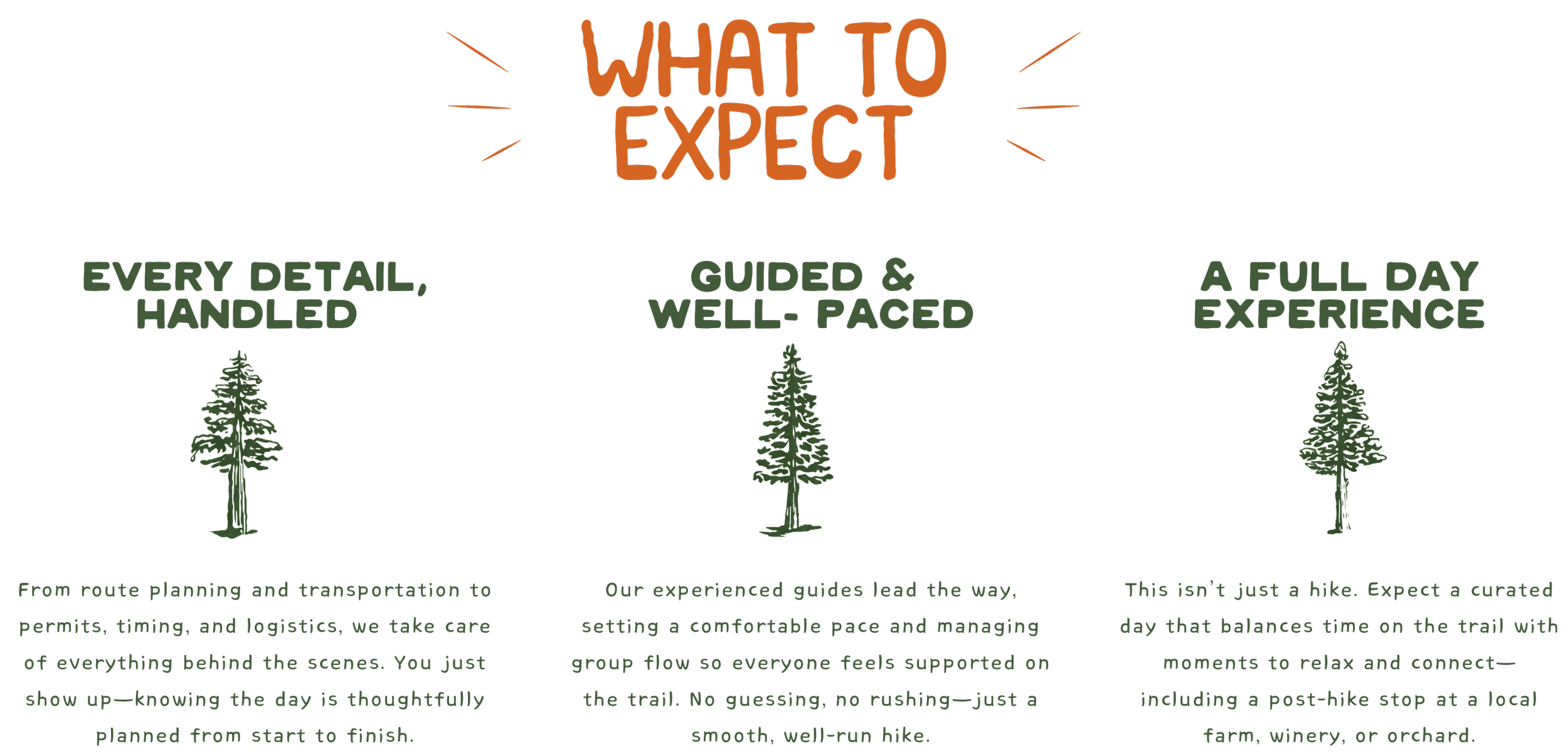 A graphic titled 'What to Expect' with three sections: 'Every Detail, Handled,' 'Guided & Well-Paced,' and 'A Full Day Experience.' Each section contains a drawing of a pine tree and descriptive text below.