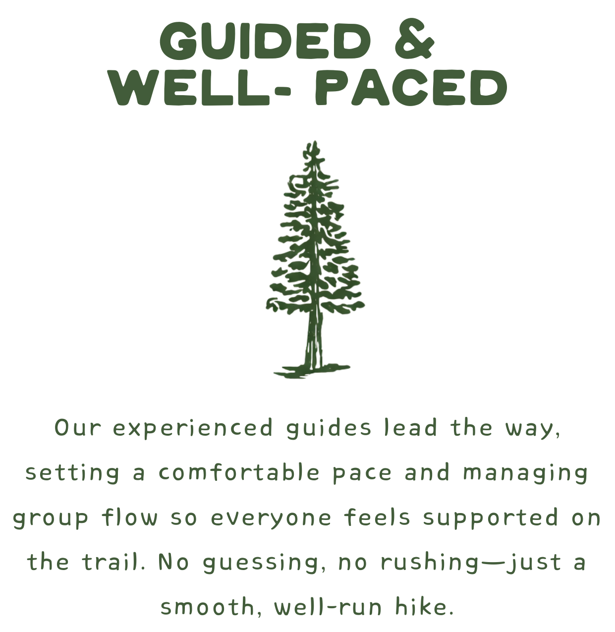 Poster with green text on black background. Top text: 'Guided & Well-Paced'. Middle: illustration of a pine tree. Bottom paragraph: 'Our experienced guides lead the way, setting a comfortable pace and managing group flow so everyone feels supported on the trail. No guessing, no rushing—just a smooth, well-run hike.'