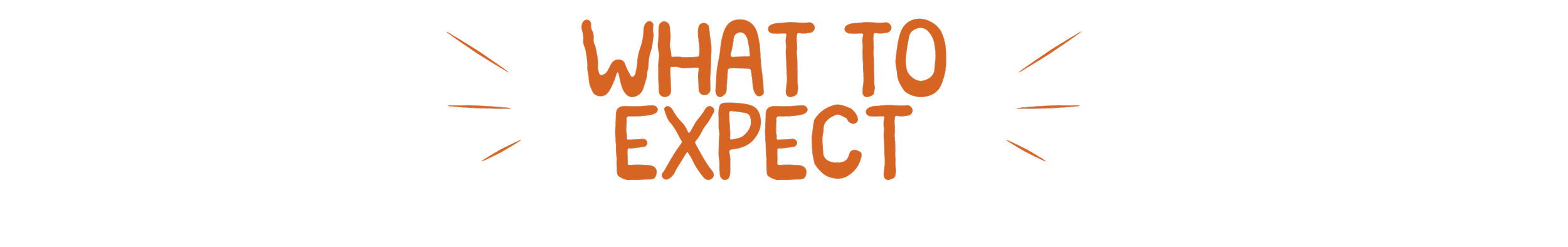 Text graphic that says 'What to Expect' in orange on a black background with lines radiating outward.