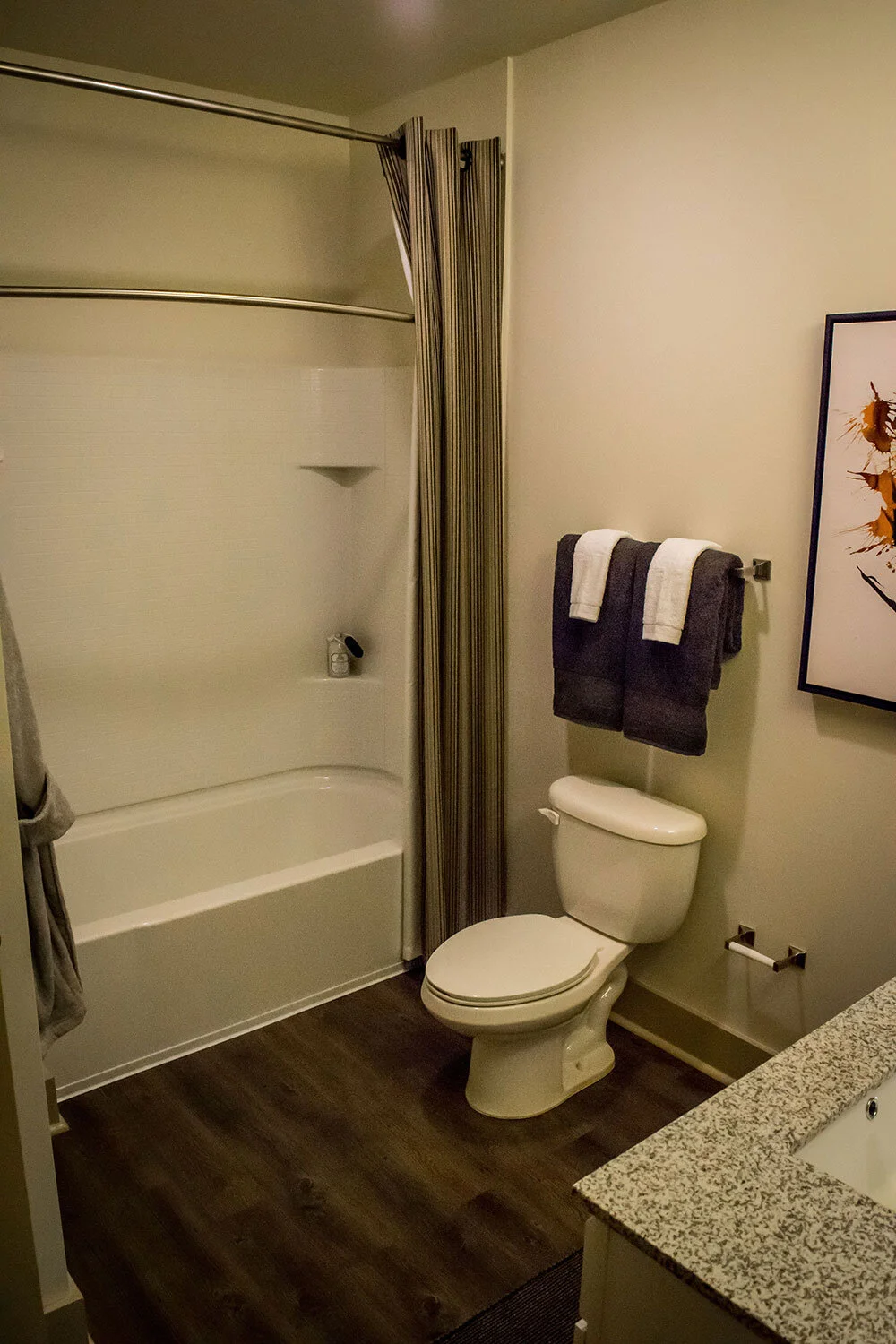 Typical bathroom with a tub and toilet seen at Riverpoint - Rome, GA