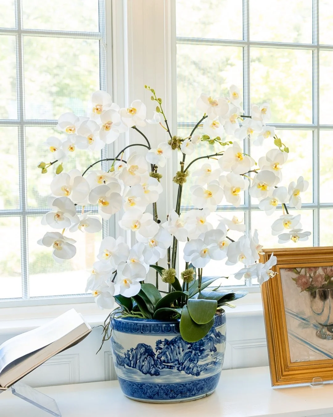 White orchids in a decorative blue and white ceramic pot on a white surface, near a window, with a framed painting to the right and a book open on the left. Designed by Flower Fauxnatic.