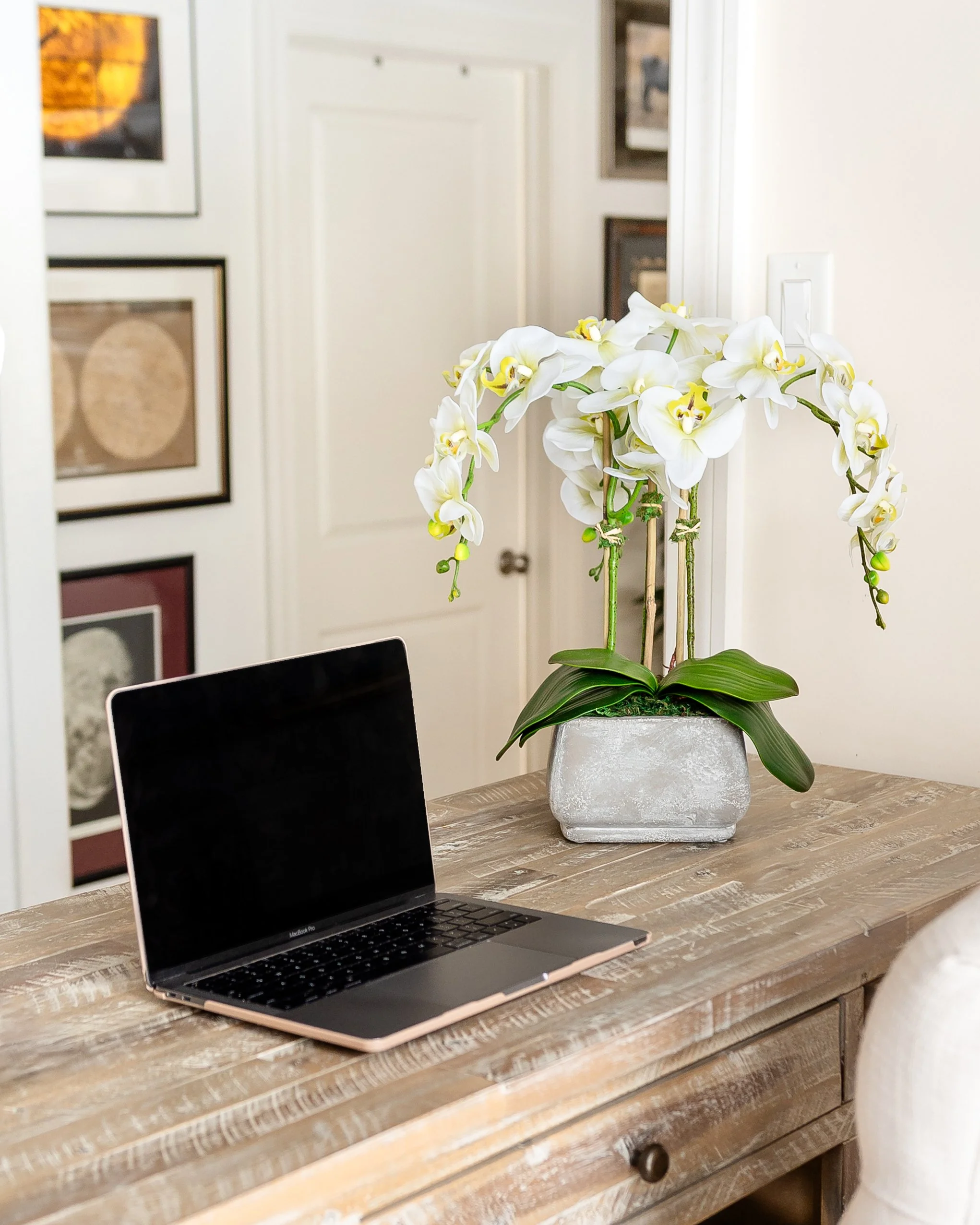 A desktop with a laptop and a white orchid plant in a concrete pot on a wooden table in a home interior. Designed by Flower Fauxnatic.