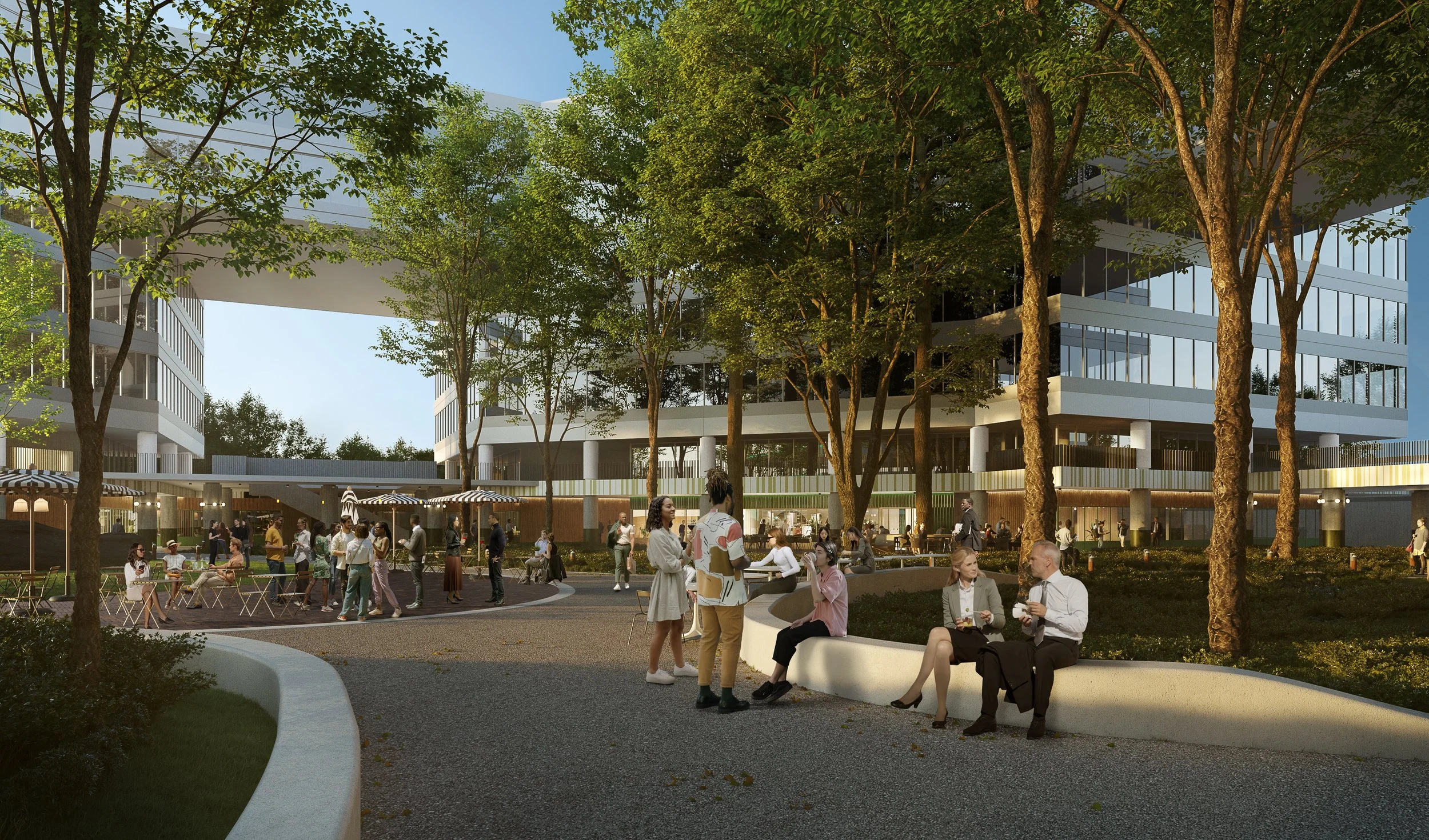 CAM_06.jpg