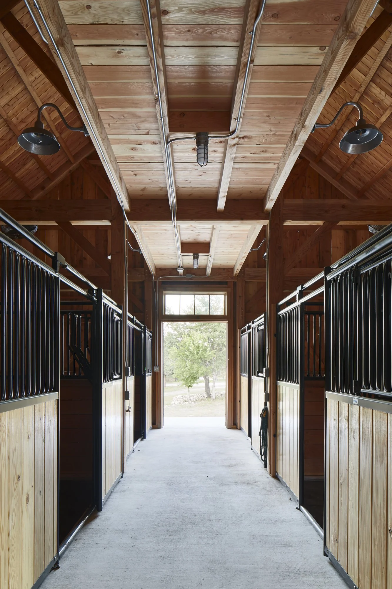 8 Andrea_Calo_9062_w.jpg