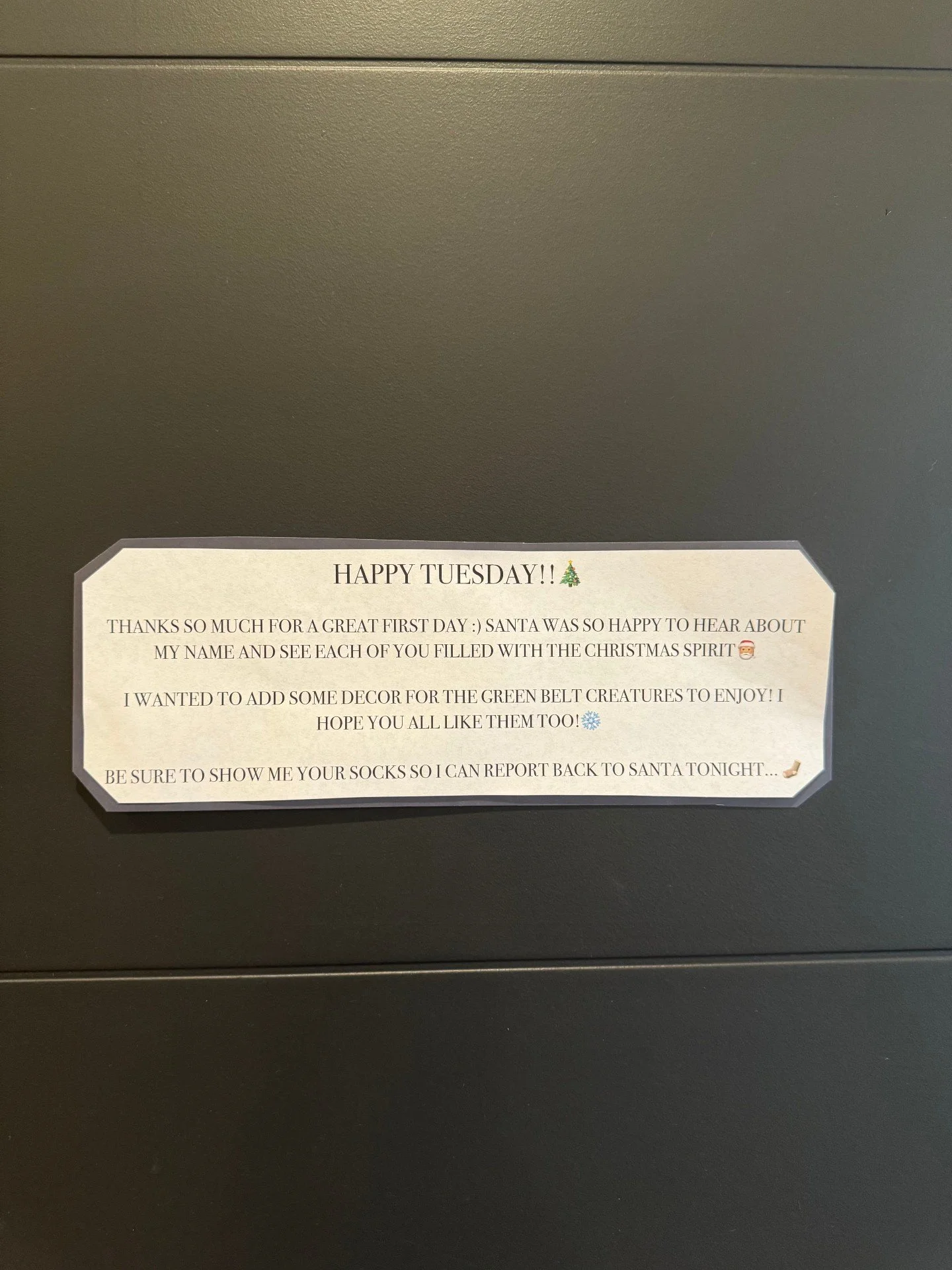 Mistletoes Tuesday has us showing off our most festive, over-the-top socks. Holiday spirit from head to mistle-toes! 🧦✨ and of course, our new elf was up to his antics again!