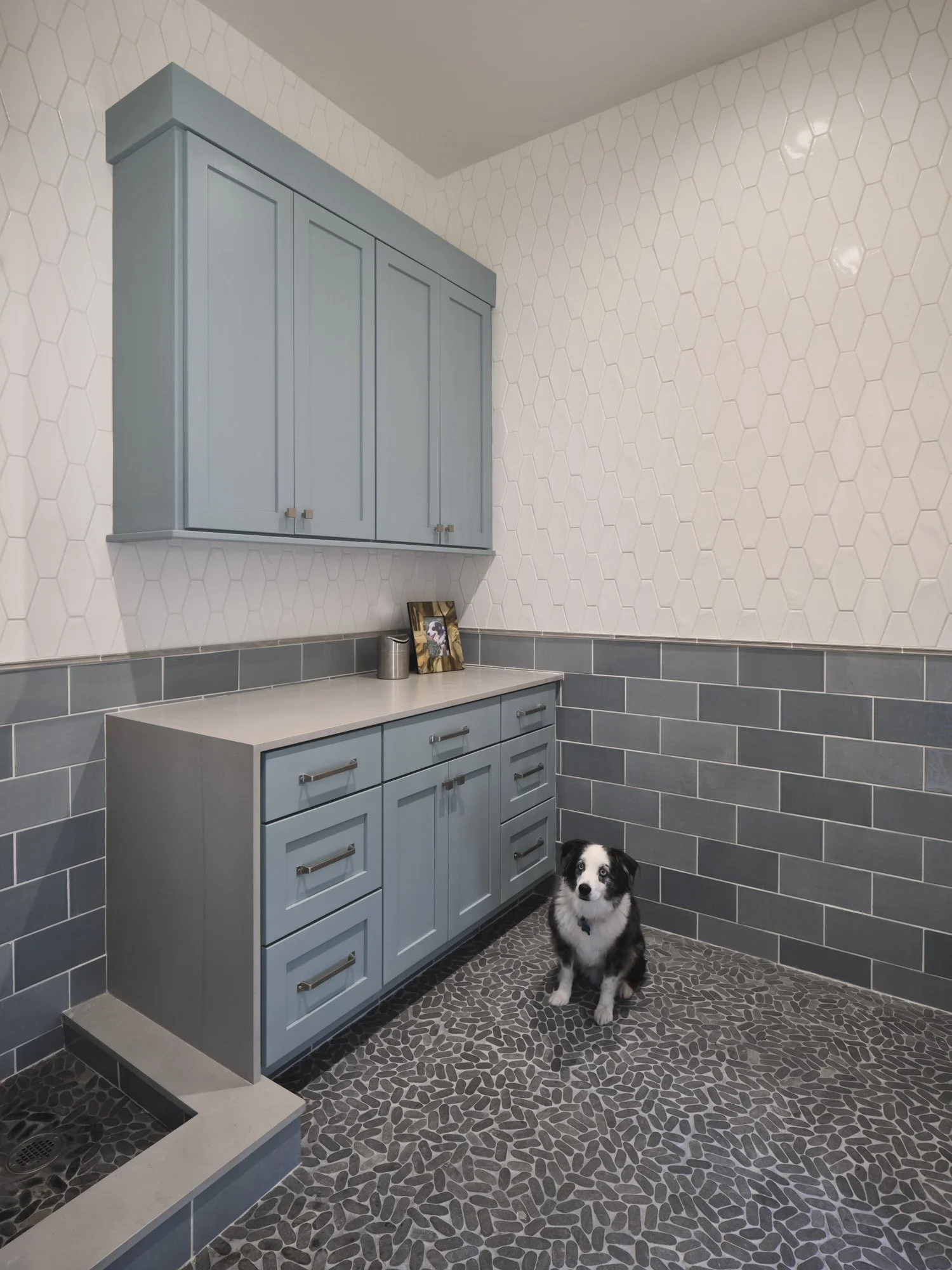 17 Andrea_Calo_dog room.jpg