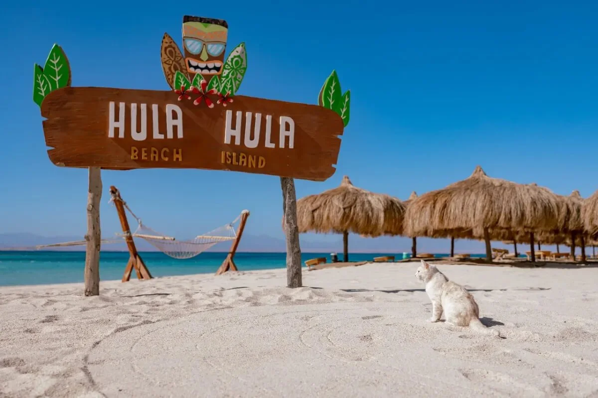 hula hula 4.jpg