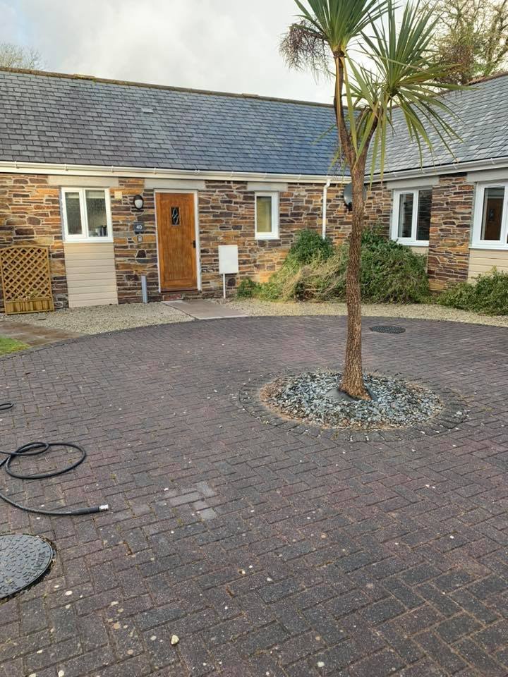 A courtyard with brick pavement, a small palm tree in the center, and a cottage-style house with stone walls and white-framed windows in the background.