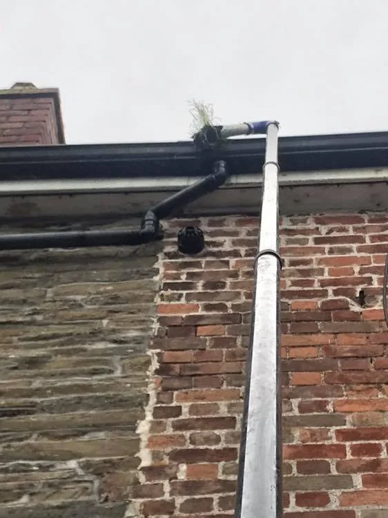 Two pipelines, one black and one silver, run vertically along a brick wall outside a building, with some grass growing out of the top pipe.
