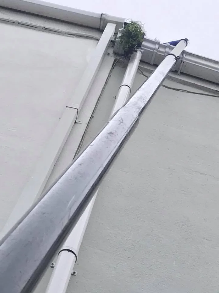 View from below of a building wall with pipes and a small green plant growing in a corner.
