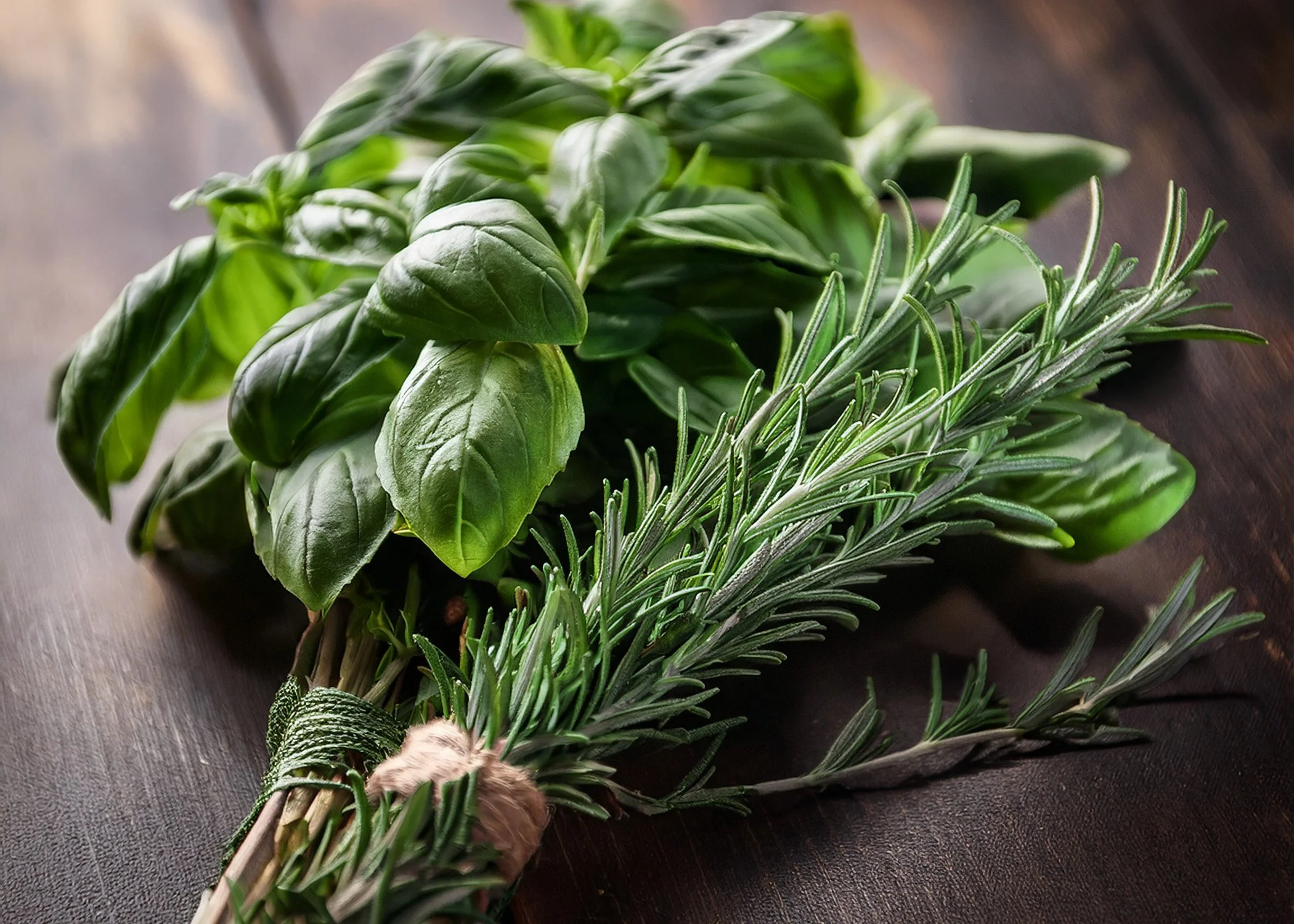 rosemary and basil.jpg
