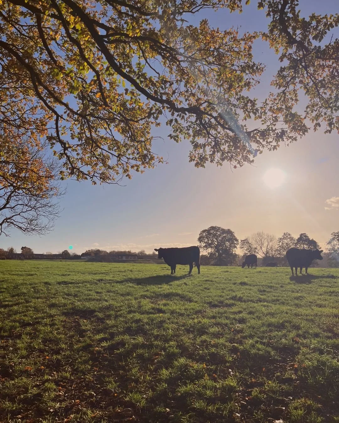 Walking through the countryside in shropshire on a day retreat