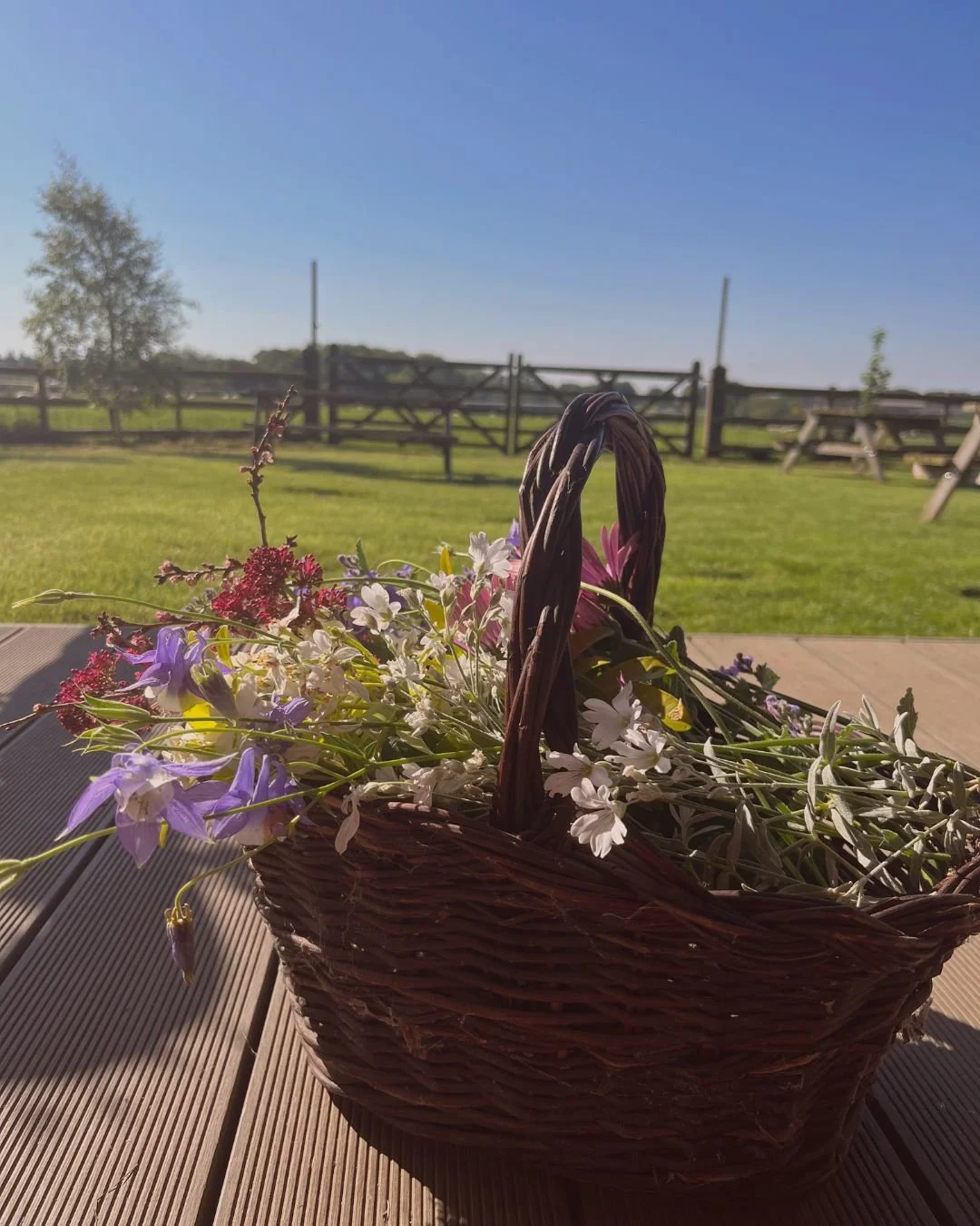 Weekend yoga retreat in UK countryside