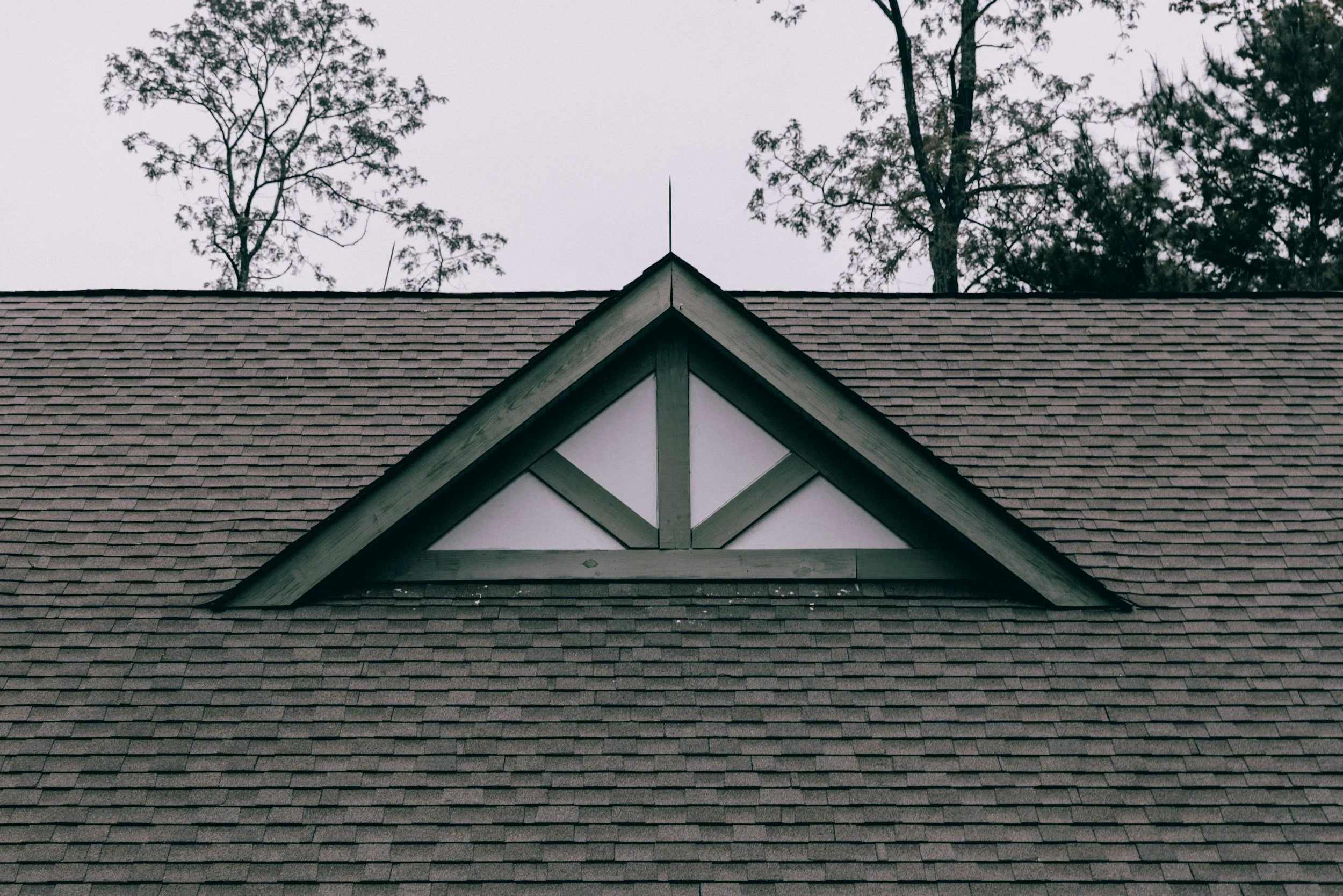 unsplash-image-TnhkSNZPXd8.jpg