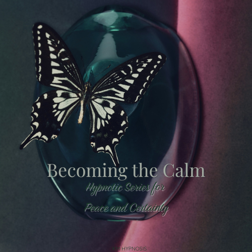 A black and white butterfly resting on a glass surface with a pink background, featuring the text 'Becoming the Calm Hypnotic Series for Peace and Certainty.'
