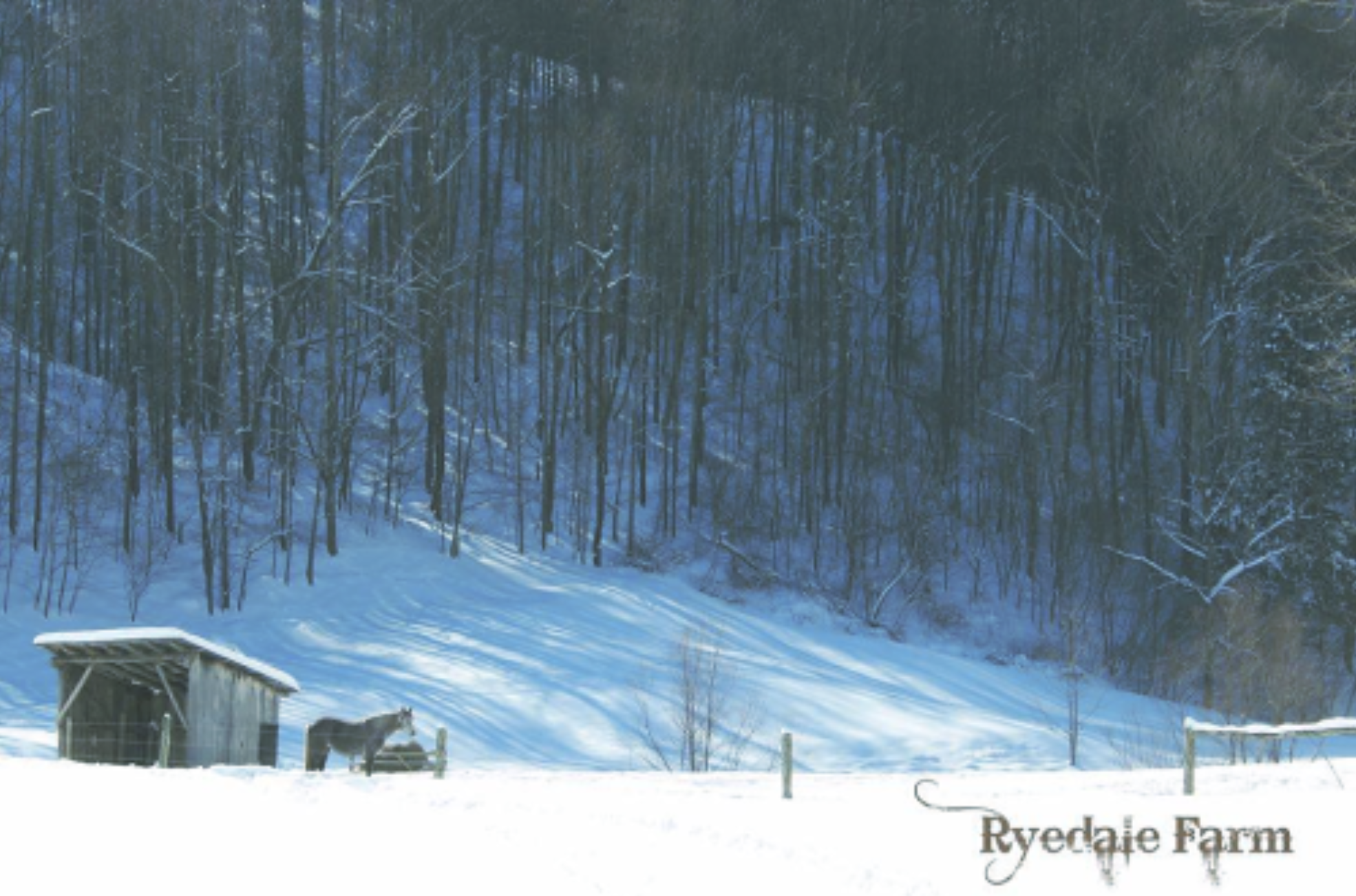 6 Things to Do on a Webster County Snow Day