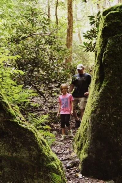 Top Hikes to Take at Holly River State Park