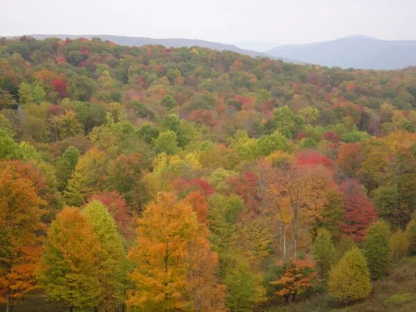Leaf Peepers Guide to Extraordinary Views in Webster County