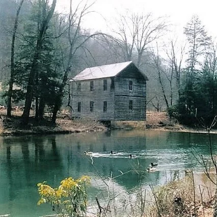 Top 10 Places to Visit In Webster County