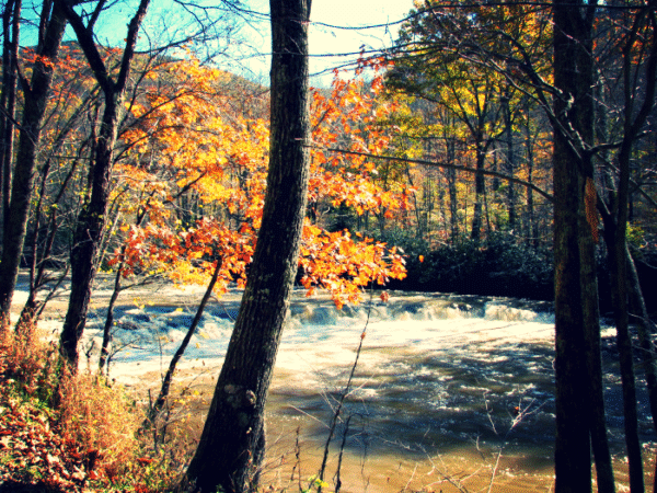 Fall into Fun with Webster County