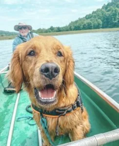 Bailey jo the golden girl.jpg