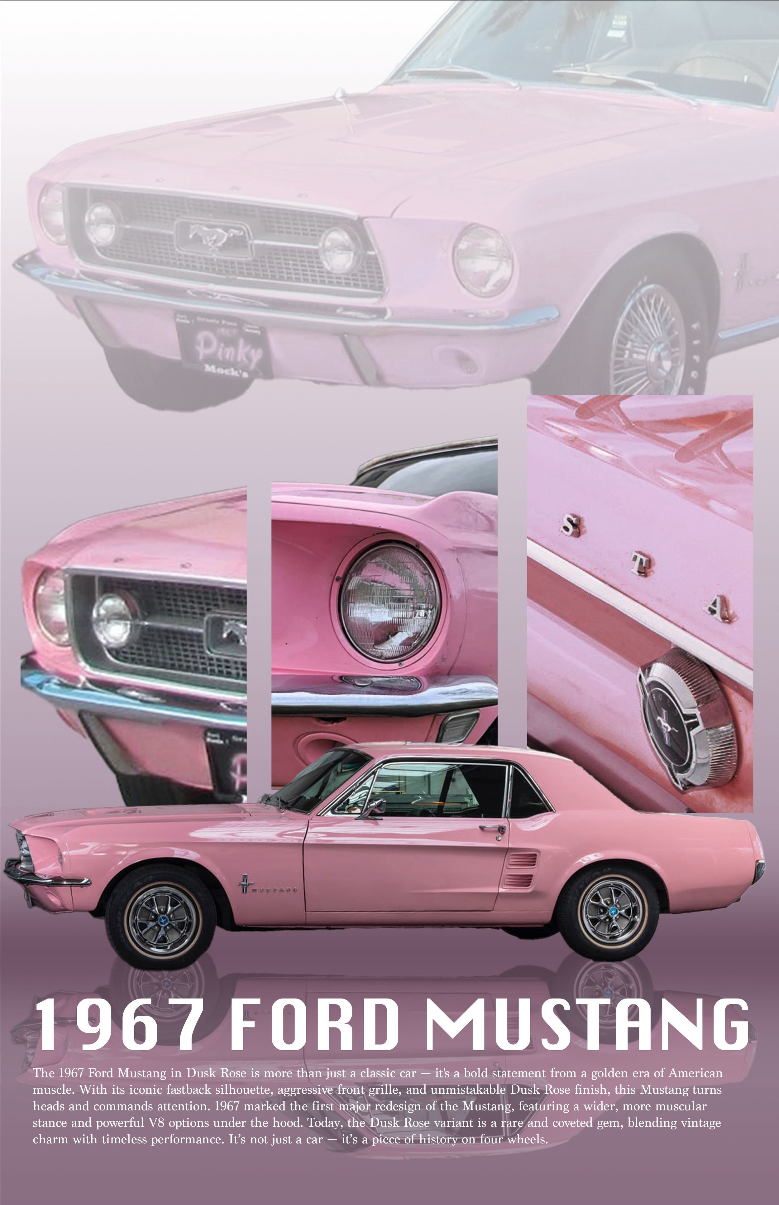 Untitled-1.jpg
