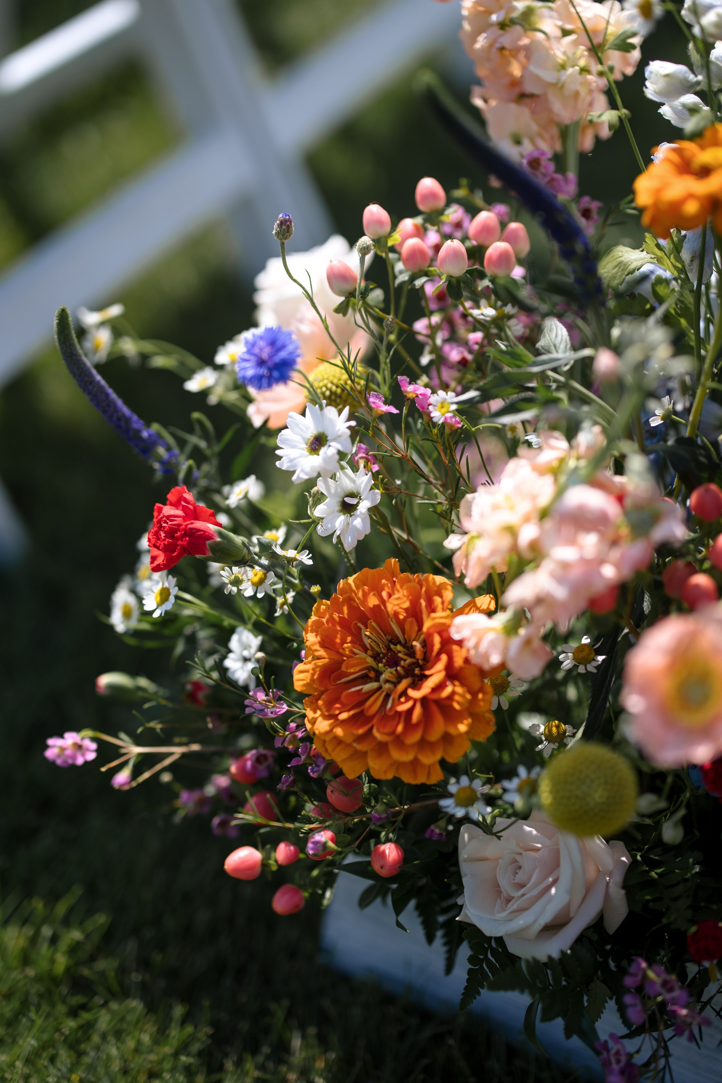 Maria & Obi-250901-155102.jpg