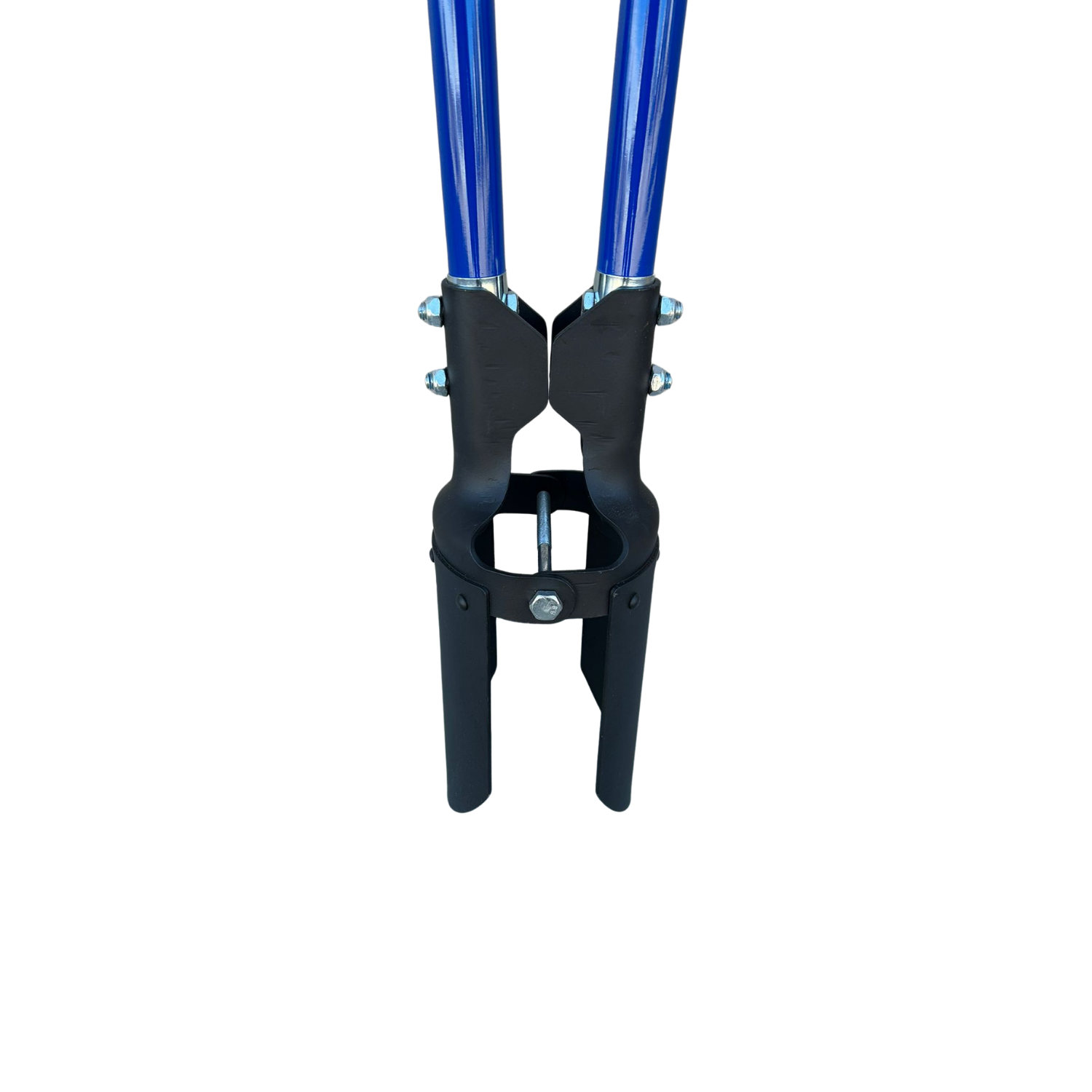 Untitled design.png