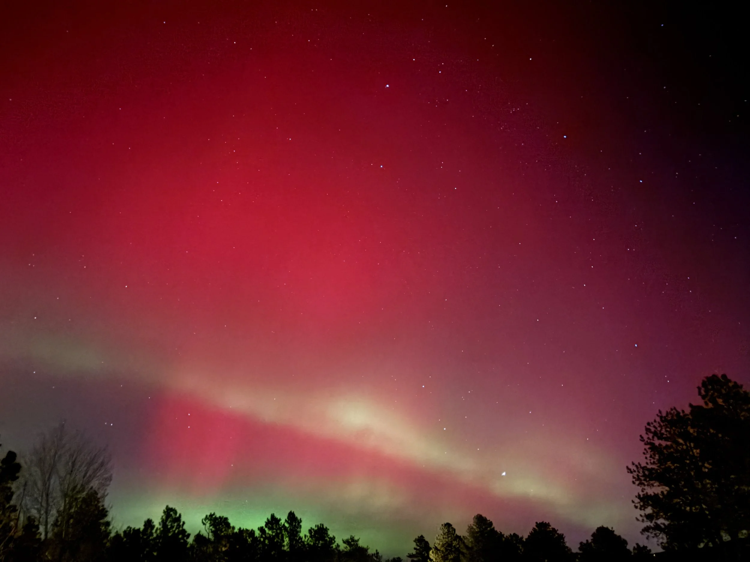 A Season of Connection, Motion, and Coming Home