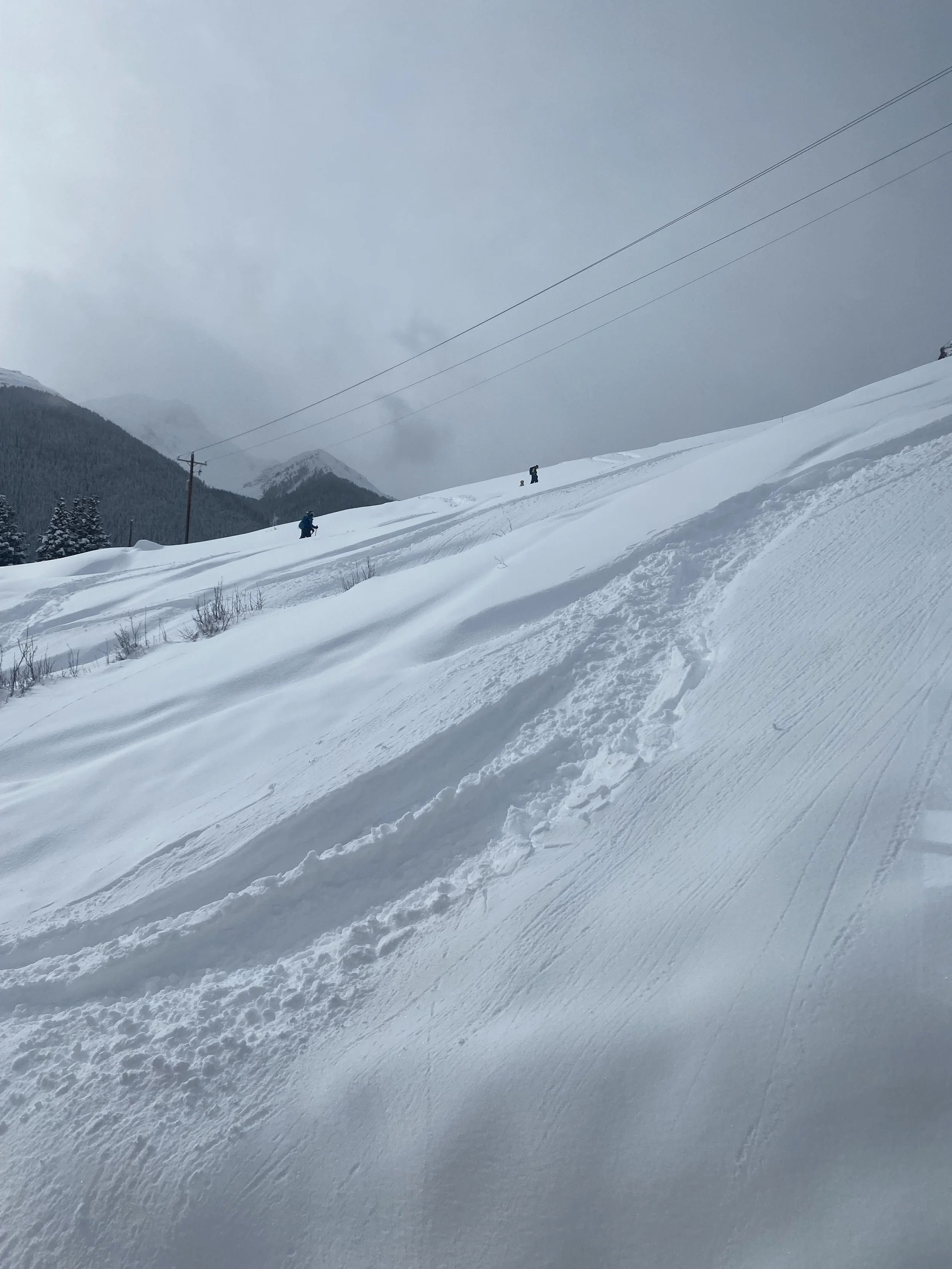 What winter typically looks like 