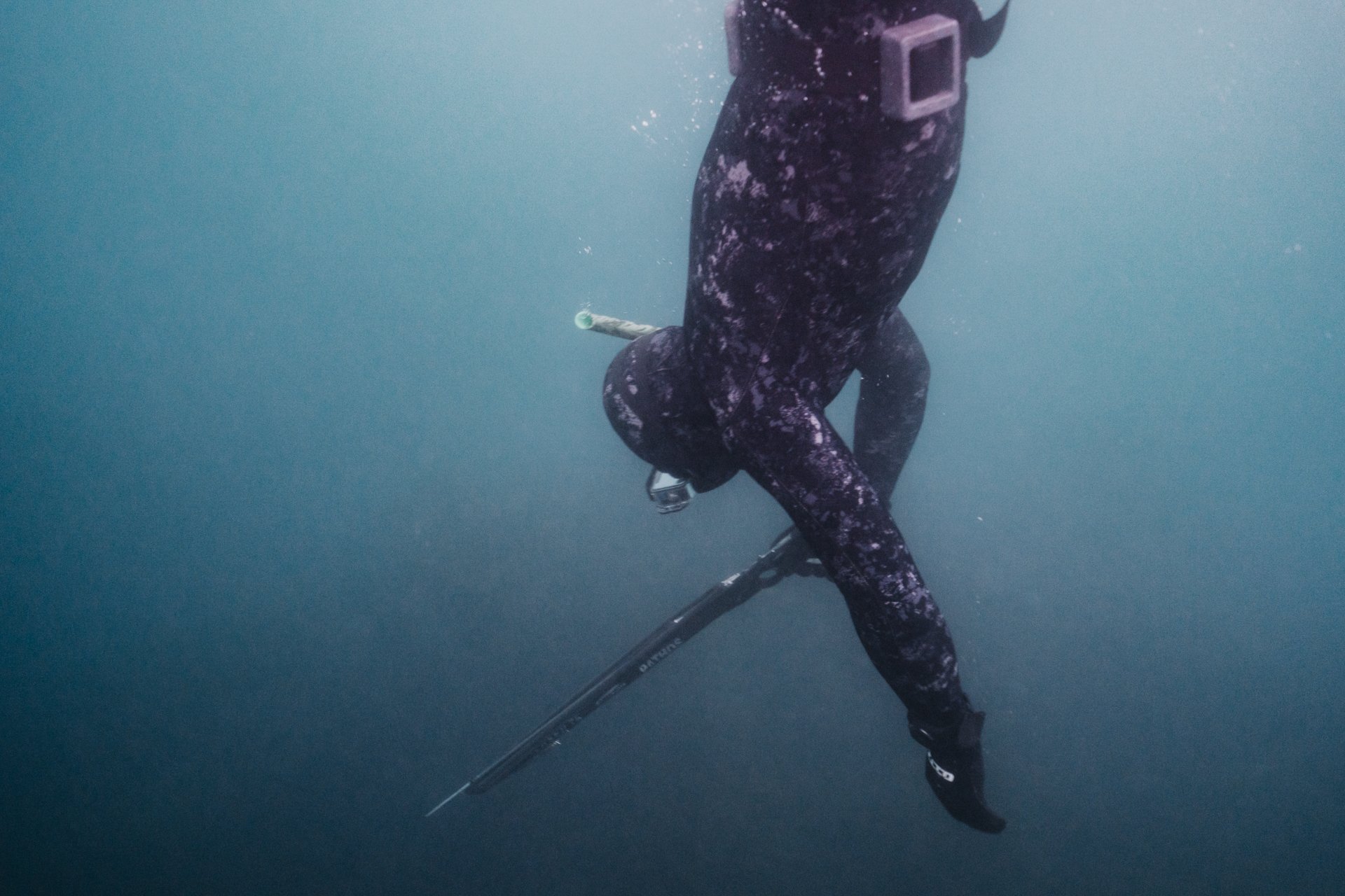 spearfishing-1-4.jpg