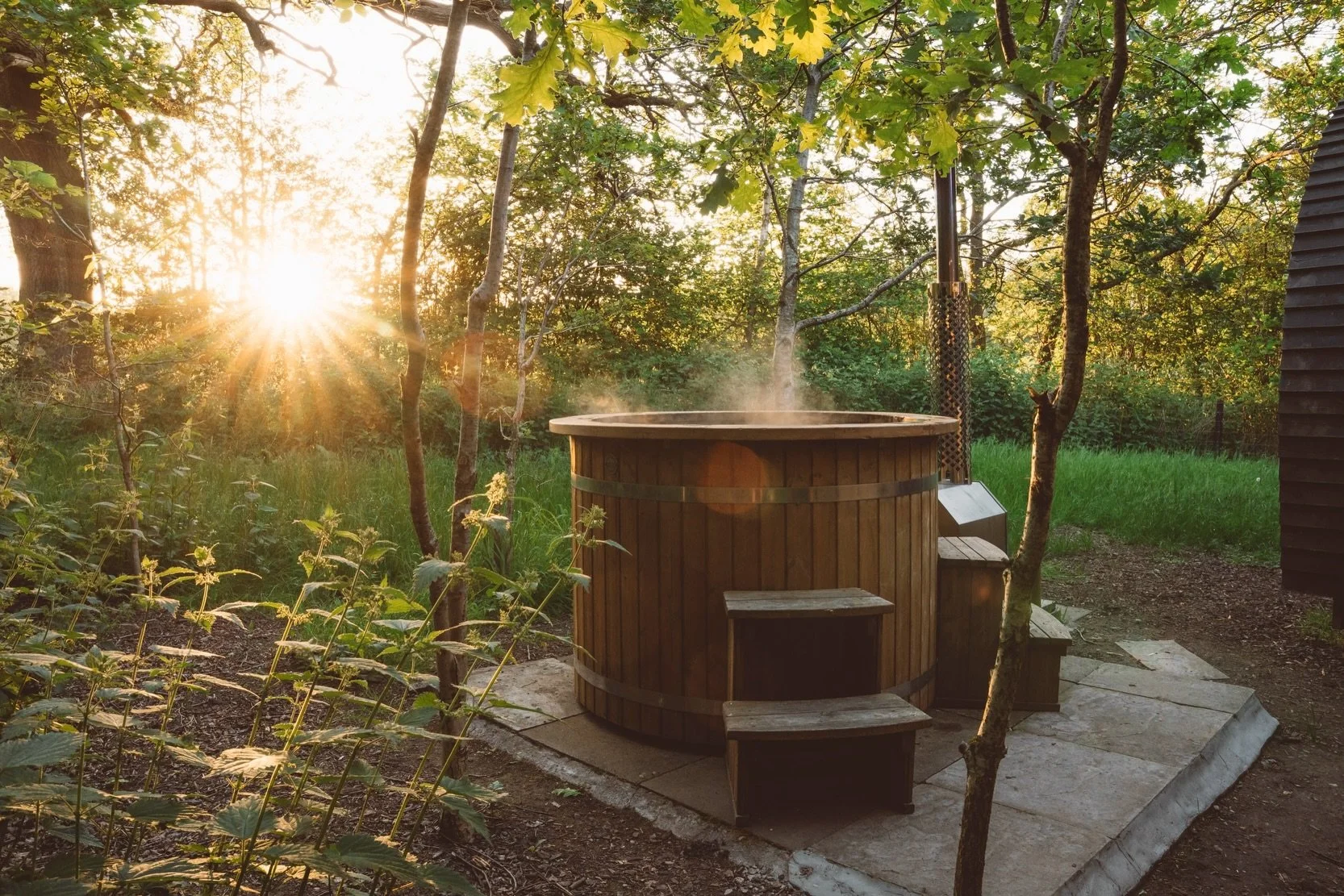 Golden light through the tree canopy at Wigwam Holidays Charnwood Forest ✨ 

#glamping #staycation #photographer